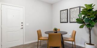 Standard at Royal Lane Gallery 13