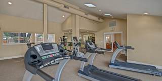 Canyon Ranch Gallery 11