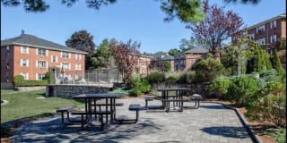 Mill Street Gardens Gallery 29