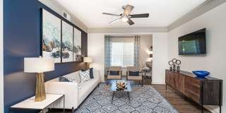 The Madison Apartments Gallery 11