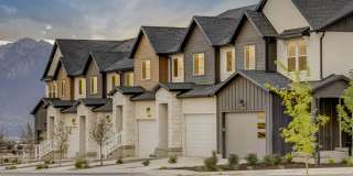 Mt. Rainier Gallery 5