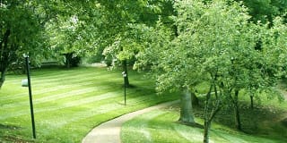 Mountain View Gallery 19