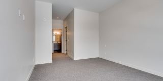 The Lorient Gallery 51