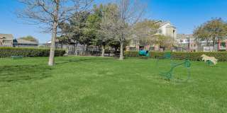 Skyview West Gallery 32