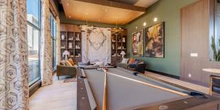 Taryn at 401 Gallery 9