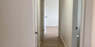 North West Pet Friendly Home Gallery 11