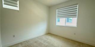 301 Shoveler Gallery 31