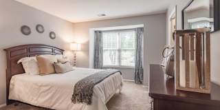Steeplechase Gallery 13