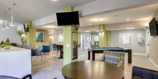 4200 Paradise Gallery 24