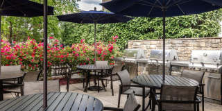 Avalon Westbury Gallery 33