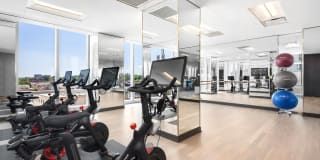 The Modern Gallery 34