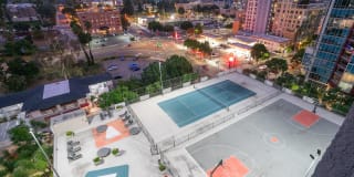 Vera Cortez Hill Gallery 1