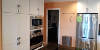 10537 E CEDAR WAXWING Drive Gallery 4