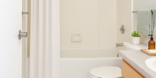 Auburn Court Gallery 3