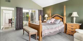 537 Avenida Del Verdor Gallery 22