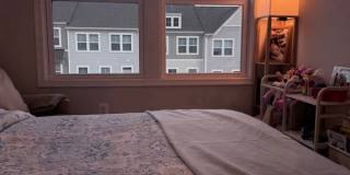 4959 Lexi Ln - 1 Gallery 40