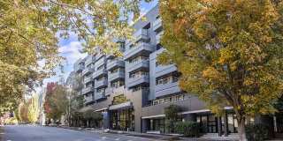 Novi at Queen Anne Gallery 4