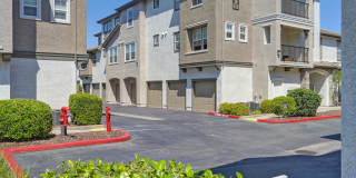 Coventry Park Gallery 34