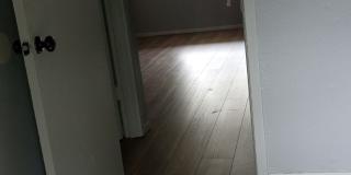 4747 Annette Street Gallery 6