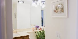 183 S Starflower Gallery 20