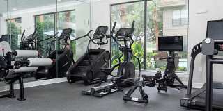 Jackson Hill Gallery 42