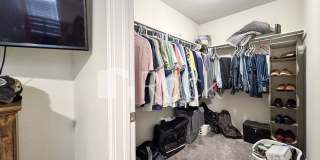3 Bedroom Home in Newcastle Gallery 11