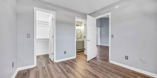 BEAUTIFULLY RENOVATED TWO BEDROOM IN CHAPIN Gallery 16