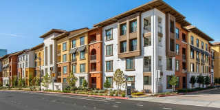 Renaissance Square Gallery 3