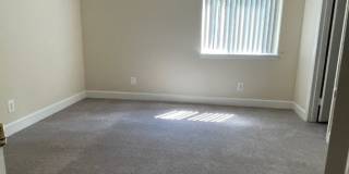 Northgate Gallery 285