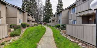 Greenback Gardens Gallery 8