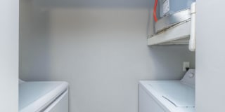 Windsor Place Gallery 49