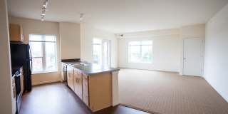 Broadway Flats Gallery 13