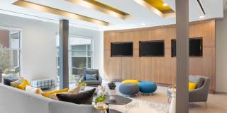 The Tessera Gallery 14