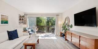 Desirable San Roque Condo Gallery 5