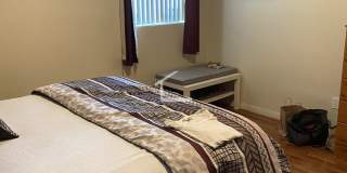 No Fee! Parking, Heat and Hot Water Included! Renovated, Sunny and Spacious!  Cat Friendly! Prime Location! Gallery 14