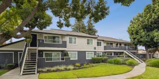 Sofi Berryessa Gallery 23