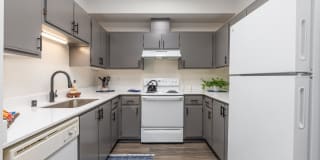 Shoreline Village Apartment Homes Gallery 1