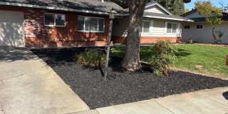 Beautifully Renovated 3 Bed 2 Bath! Gallery 1