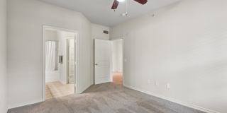 Tiburon Gallery 8