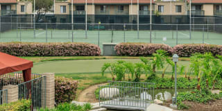 McComber Creek Gallery 4