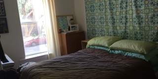 Beautiful 1 Bed Apartment in North Center/ Ravenswood Area Available September 1st Gallery 13