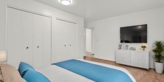 Shelby Courts Gallery 1