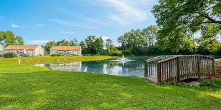 Rocky Creek Gallery 20