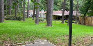 3 Bedroom, 1 Bath Gallery 14