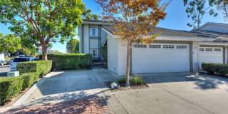 3341 Calle La Veta 3341 Calle La Veta Gallery 1