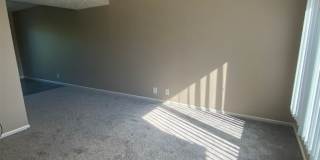 Southdale Square Gallery 30