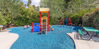 Ocean Vista Gallery 3