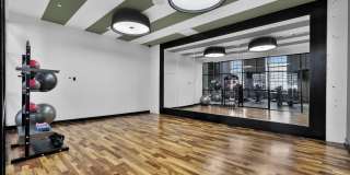 Plant 64 Gallery 53