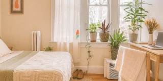 Fantastic 4-bed, 1.5 bath Unit in Brookline Gallery 4