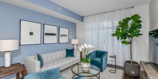 The Yard at Ivanhoe Gallery 35